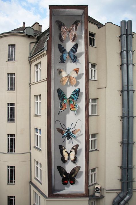 Butterfly Specimen Boxes Painted as Multi-Story Murals by Mantra Pavement Art, 3d Street Art, Illusion Kunst, Seni Mural, Art Papillon, Urbane Kunst, Street Art Banksy, Sidewalk Art, Urban Street Art