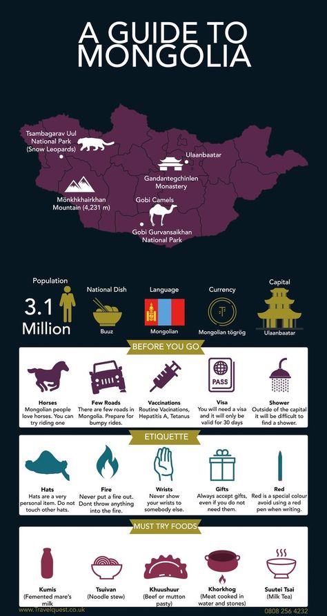 Mongolia Travel Mongolia, Pastel City, Travel Infographic, Cheap Flight Tickets, Flight Tickets, Travel List, Future Travel, Snow Leopard, Travel Deals