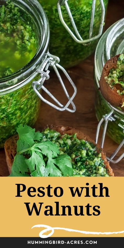 Discover the rich, nutty flavor of walnut pesto! Perfect for pasta, sandwiches, or as a dip, this easy recipe adds a delightful twist to traditional pesto. Canning Pineapple, Walnut Pesto Recipe, Homemade Cream Cheese Recipe, Deer Resistant Perennials, Pineapple Jam, Walnut Pesto, Water Bath Canning, Cream Cheese Recipes, Seasoned Salt