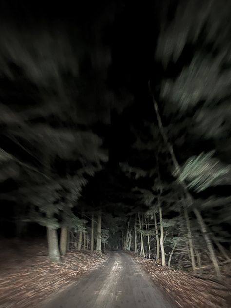 Scary Woods Aesthetic, Alex Kralie Aesthetic, Folk Horror Aesthetic, Found Footage Aesthetic, Cryptids Aesthetic, Slenderverse Aesthetic, Paranormal Photography, Cryptic Core, Monsters Aesthetic