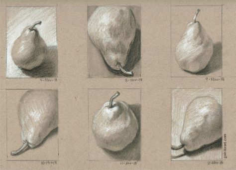 6 Days of Pear Sketches graphite and white charcoal on Strathmore toned tan sketch paper Charcoal Toned Paper, Charcoal On Brown Paper, Tanned Paper Drawing, Art On Toned Paper, Charcoal On Toned Paper, Toned Paper Drawing Ideas, Strathmore Toned Tan, Gray Toned Paper Drawing, Drawing Toned Paper