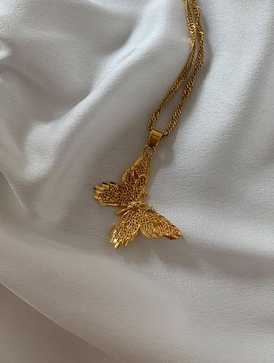 Products Necklace Women Gold, Butterfly Monarch, Golden Jewellery, Diamond Accessories, Fancy Jewelry Necklace, Pretty Jewelry Necklaces, Delicate Gold Necklace, Gold Chain Design, Mexican Jewelry