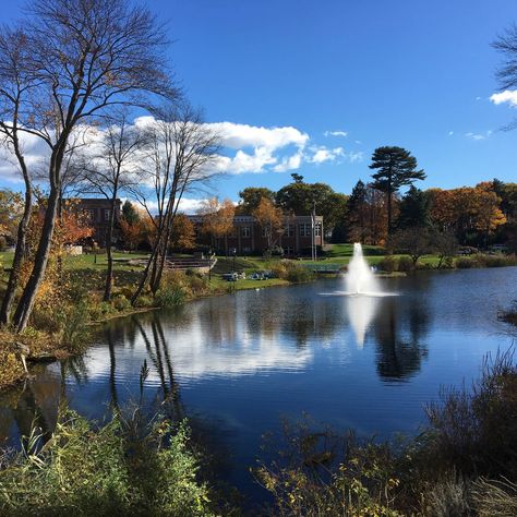 Endicott College, Good Times, Places To Go, Water, Travel