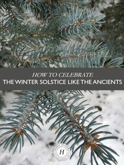 How To Celebrate The Winter Solstice Like The Ancients ––– The winter solstice is an astronomical event that has been celebrated since ancient times. We have several great ideas to help you celebrate! Winter Solstice Party, Winter Solstice Traditions, Yule Traditions, Yule Celebration, Winter Solstice Celebration, Solstice Party, Pagan Yule, Herbal Academy, Solstice And Equinox