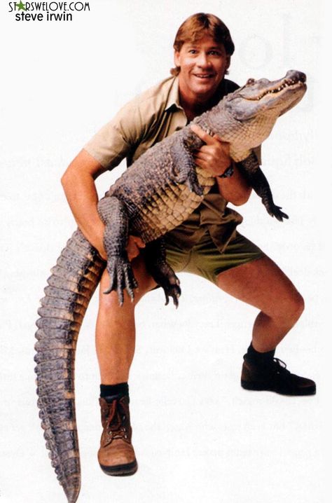 I want to be brave like Steve Irwin (the Crocodile Guy) ... Or at least talk like him ;) Steve Irwin Day, Terri Irwin, Irwin Family, Crocodile Hunter, Steve Irwin, I Miss Him, That One Friend, Thought Of The Day, Secret Obsession