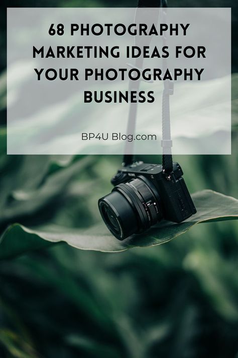 Photography marketing have you confused? Not sure how to promote your photography business? It doesn’t matter if you’re an established photographer or a beginner photographer, these ideas will help grow your photography business! Want to get more clients and generate more leads to your website? Ready to never run out of ideas on different ways to market your photography business? Check out my 68 of tips on how to market yourself as a a photographer. Photography Marketing Ideas, Beginner Photography Camera, Photography Business Plan, Beginner Photographer, Photography Business Marketing, Photographer Marketing, Market Yourself, Get More Clients, Photography Resources