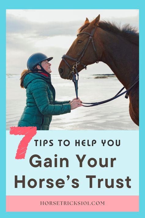 Trust is key in your relationship with your horse. When a horse trusts you, they look to you for guidance, especially in unfamiliar situations. A horse that trusts its human companion is calmer, more confident, and better equipped to handle new challenges. Follow these 7 simple steps to build a strong, trust-filled relationship with your horse... #EquineConnection #TrustBuilding #HorseLove How To Bond With Your Horse, Things To Do With Your Horse, Breaking A Horse, Horse Stretches, Trust Exercises, Confidence Building Activities, Horseback Riding Tips, Horse Lessons, Riding Tips