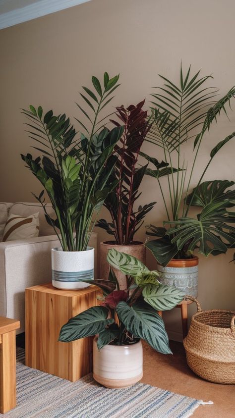 Boho Indoor Plants, Plants Arrangement Indoor, Indoor Plant Decoration, Apartment Decor With Plants, House Plants In Bedroom, House Plant Styling, Inside Plants Decor Living Room, Plants In Office Space, House Plants Living Room