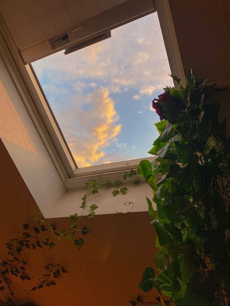 Skylight Bedroom, Skylight Room, Sunrise Window, Skylight Window, Earthy Home, Earthy Aesthetic, Windows Wallpaper, Pretty Sky, Ethereal Art