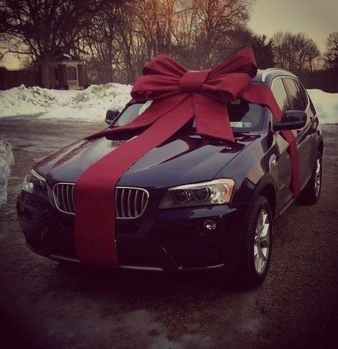 https://www.facebook.com/leovandesign #bmw #car #black Funny Christmas Pictures, Cat Dressed Up, Funny Baby Shower Games, Laughing Jokes, Funny Good Morning Quotes, Funny Jokes To Tell, Funny Quotes For Teens, Anime Memes Funny, Friends Quotes Funny