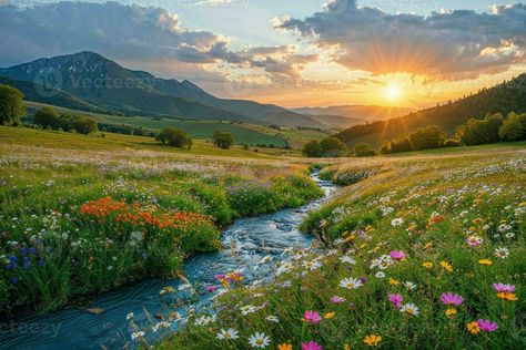 AI generated A green meadow , under a peaceful sky, vibrant with the beauty of a summer sunrise, wildflowers in bloom, a sparkling river flowing, and lush green hills Grassland Aesthetic, Meadow Aesthetic, Comfort Corner, Meadow Landscape, Grassy Meadow, River Flowing, Summer Sunrise, Green Meadow, Secret Place