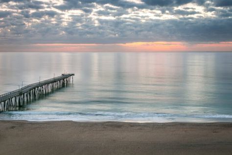 1. Sandbridge Beach Chesapeake Beach, Sandbridge Beach, Cypress Swamp, Only In Your State, Bald Cypress, Old Dominion, Hidden Places, Tropical Destinations, Hidden Beach