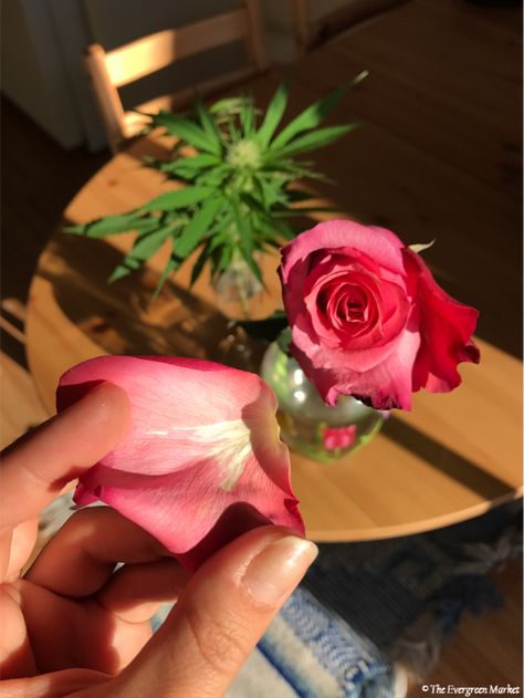 Flower Petal Blunts, Rolling Blunts, Apothecary Shop, How To Roll, How To Make Rose, Homemade Stuff, Diy Crafts Life Hacks, Alcohol Aesthetic, Diy Roses