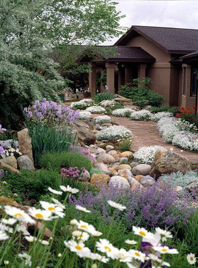 Colorado Landscaping, Xeriscape Front Yard, Hill Landscaping, Xeriscape Landscaping, Landscaping On A Hill, Drought Tolerant Garden, Hillside Landscaping, Front Yard Design, Landscape Maintenance