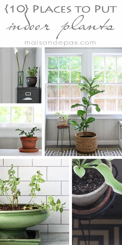 click for 10 ideas of places to put indoor plants! via maisondepax.com #decor #design Plants In The House, 60s Room, Plant Placement, Interior Entrance, Inside Plants, Shabby Chic Interiors, Diy Outdoor Decor, Interior Colour, Indoor Gardens