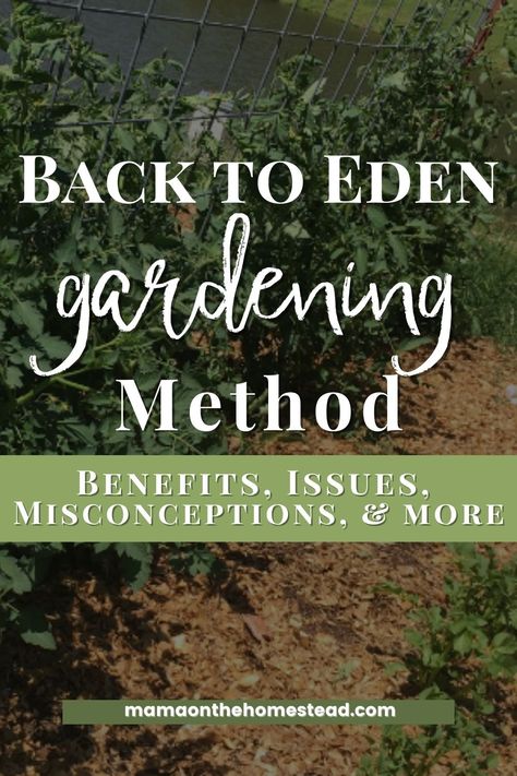 Garden Of Eden Diet, Back To Eden Garden Layout, Back To Eden Gardening, Back To Eden Garden, Wood Chip Mulch, Composting Methods, Back To Eden, Bacterial Diseases, Eden Garden