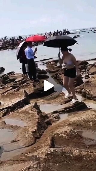 Let's Laugh on Instagram: "The end 😂😂😂 #reels #fails #subh" Best Fails Videos, Funny Fails Videos, Try Again Fail Again Fail Better, Ultimate Fails, Funny Bike Fails Videos, Fall Videos, Sports Fails, Epic Fail Photos, Epic Fail Pictures