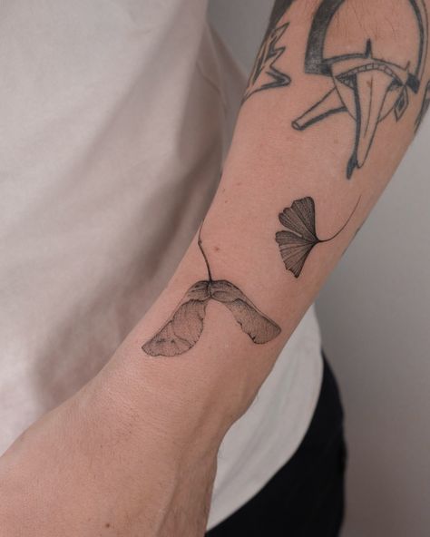 Maple seed and ginkgo leaf from my available sketches 🍁 You can find more sketches in highlights „available”, let’s do something beautiful for you! To book an appointment click the link in my BIO Porto, Maple Seed Tattoo, Seed Tattoo, Maple Seed, Ginkgo Leaf, September 16, Book An Appointment, Tattoo You, Something Beautiful