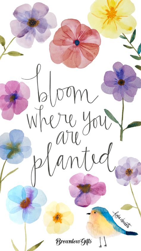 Blossom Where You Are Planted Quote, Bloom Where You Are Planted Wallpaper, Bloom Where You Are Planted Quote, Plant Affirmations, Flower Sayings, Bloom Quotes, Study Books, Bible Study Books, Router Projects