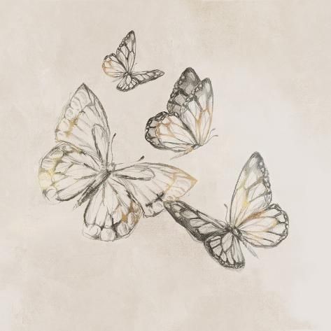 size: 12x12in Art Print: Butterfly Fly by Eli Jones : Neutral Butterfly Art, Butterfly Ink Art, Whimsical Book Art, Bed Of Flowers Drawing, Vintage Butterfly Drawing, Mixed Media Butterfly, Butterfly 3d Art, Butterfly Drawing Flying, Butterflies Flying Drawing