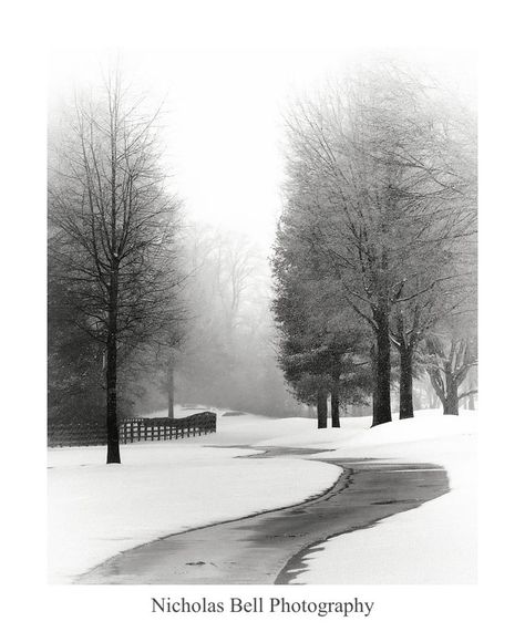 A black and white photography of a winter landscape. A path leads to snow dusted trees in the background. Black And White Photography Nature, Snow Black And White, Silence Photo, Black And White Landscape Photography, Landscape Photography Trees, Winter Landscape Photography, Landscape Snow, Nature Photography Trees, Photography Winter