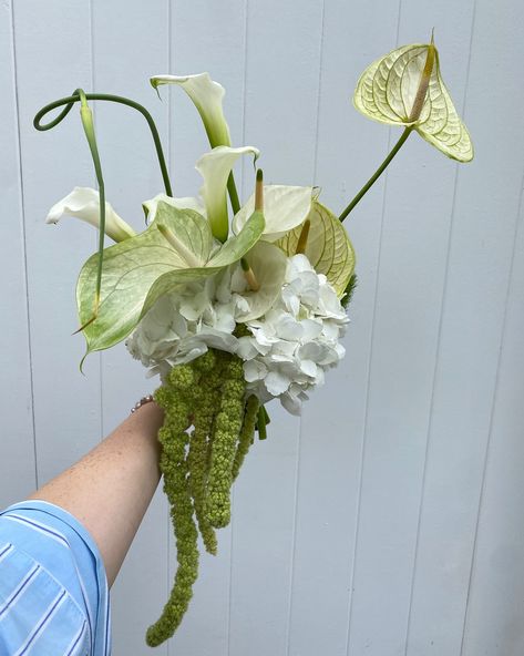 bouqs for my unreal bride and her ride or dies 🐉 Alicante, White Hand Bouquet, Wedding Outline, White Bridesmaid Bouquet, 2026 Wedding, Elopement Bouquet, Wedding Dress Aesthetic, White Flower Bouquet, Bouquet Images