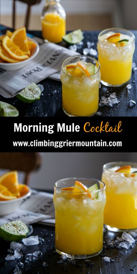 Essen, Easter Mule Cocktail, Cointreau Cocktail, Brunch Punch, Drinks Nonalcoholic, Orange Juice And Vodka, Morning Cocktail, Easy Alcoholic Drinks, Breakfast Cocktails