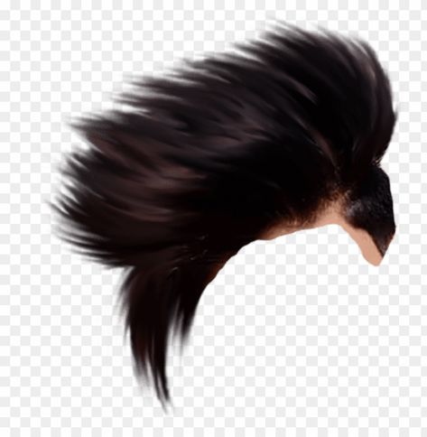 Mahadev Hair Png, Color Png Background, Hear Png Hd, Jallikattu Png, Chashma Png, Hear Png, Dil Png, Hair Png Hd, Hair Editing