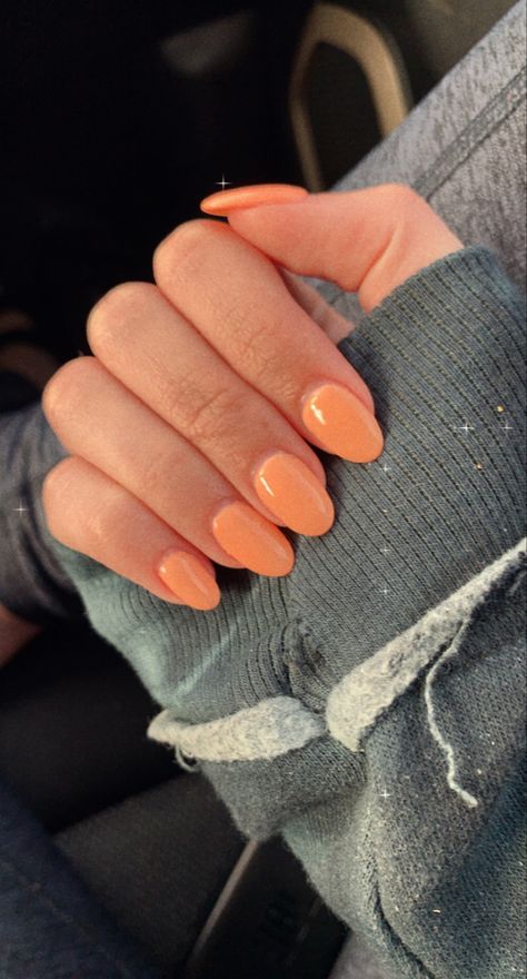 Short Rounded Acrylic Nails, Squoval Acrylic Nails, Peach Acrylic Nails, Rounded Acrylic Nails, Orange Acrylic Nails, Peach Nails, Plain Nails, Simple Acrylic Nails, Almond Acrylic Nails