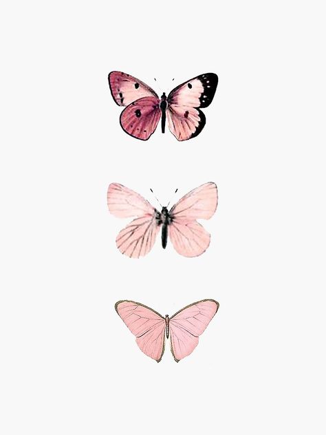 "Pink Butterflies" Sticker by haleyerin | Redbubble Foto Muro Collage, Wallpaper Estetika, Butterfly Wallpaper Iphone, Pink Photo, Pastel Pink Aesthetic, Picture Collage Wall, Photo Wall Collage, Pink Wallpaper Iphone, Cute Patterns Wallpaper