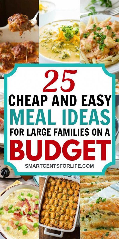 Feeding Large Family, Cheap And Easy Meals, Cheap Family Meals, Budget Family Meals, Large Family Meals, Cheap Easy Meals, Usa Food, Cheap Healthy, Crock Pot Recipes