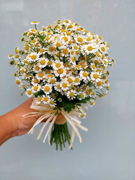 Daisy Bridal Bouquet, Daisy Flower Arrangements, Daisy Bouquet Wedding, Single Flower Bouquet, Outdoor Tent Wedding, Daisy Wedding Flowers, Simple Wedding Bouquets, Daisy Wedding, Daisy Bouquet