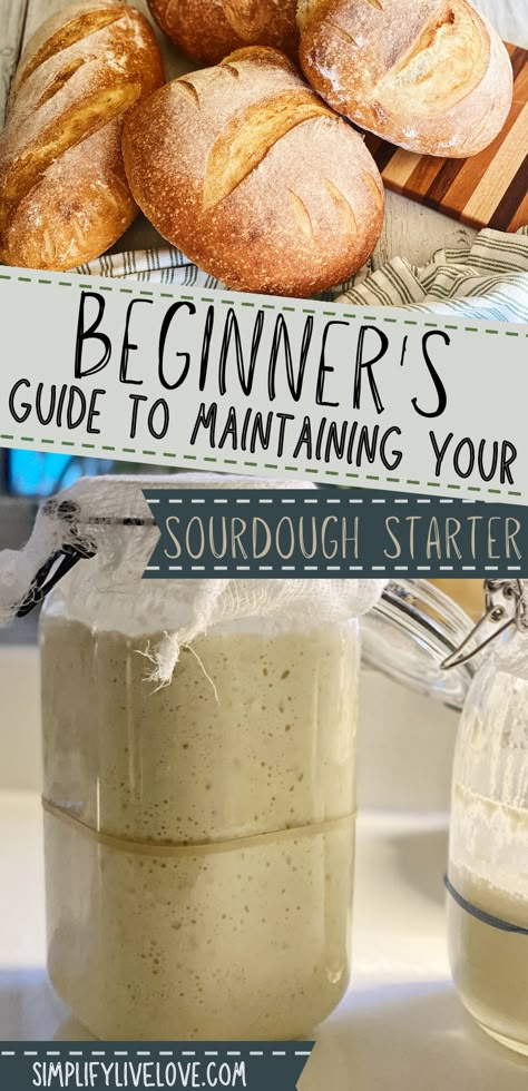 Feeding Sourdough Starter, Feeding Sourdough, Bread Starters, Sourdough Tips, Sourdough Bread Starter, Dough Starter, Sourdough Starter Discard Recipe, Starter Recipes, Easy Sourdough