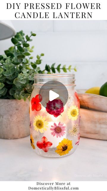 Giustina | DIYs • Recipes • Home Inspiration on Instagram: "Like + Comment “Link” to instantly get the links, tutorial, & details in your DM. 

Last week I shared a tutorial for DIY Pressed Flower Candles and while I absolutely love them, I still have so many pressed flowers!

So I thought it would be fun to create a DIY Pressed Flower Candle Lantern.

This is a fun way to use up leftover glass jars while preserving and enjoying your favorite flowers of the summer.

I used a mixture of pressed flowers that I found online and ones that I pressed myself using the 4 flower pressing techniques I shared earlier this year.

As little Roger finds flowers in the yard and gifts them to me I bring them inside and press them in books.

And now I get to enjoy these flowers for years to come!" Pressed Flower Candles, Flower Candles, Flower Pressing, Candle Lantern, Favorite Flowers, Flower Candle, Fun Diy Crafts, Pressed Flower, Candle Lanterns