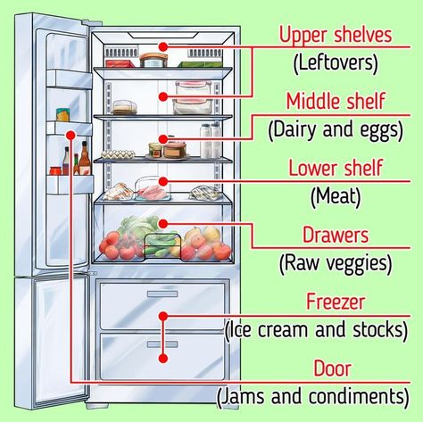 Organize Small Refrigerator, Stock Refrigerator Ideas, Refrigerator Zones, Frigerator Food, Fridge Organization Small Refrigerators, Fridge Door Organization, Frigerator Organization Kitchen, Organizing Refrigerator, Organize Refrigerator