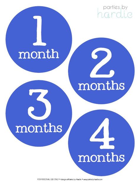 12 Month Baby Onesies {free printable} Month Onesies, Trendy Baby Onesies, Monthly Onesies, Milestone Stickers, Month Stickers, Diy Bebe, Baby Milestones, Baby Crafts, Baby Sewing