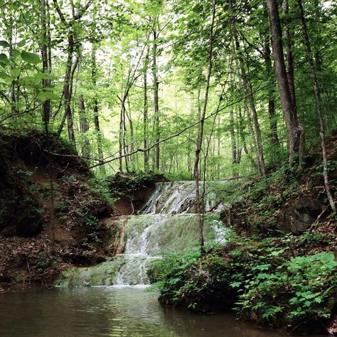 60 Falls Ridge Preserve in Montgomery County Water, Virginia Aesthetic Core, Virginia Aesthetic, Changing Aesthetic, Aesthetic Core, Montgomery County, Virginia, Beautiful Places