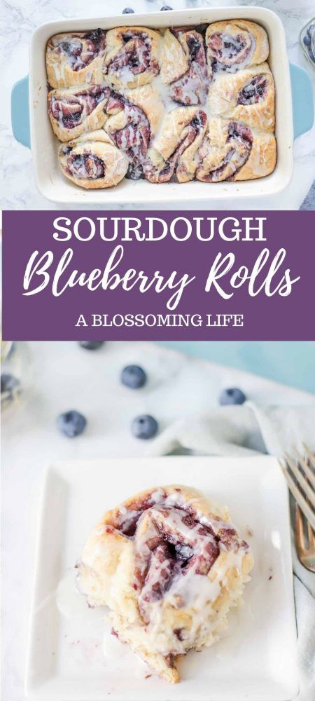 Blueberry Rolls, Blueberry Sourdough, Sweet Rolls Recipe, Dough Starter Recipe, Sourdough Blueberry, Brown Sugar Sauce, Recipe Using Sourdough Starter, Sourdough Starter Discard Recipe, Homemade Sourdough Bread