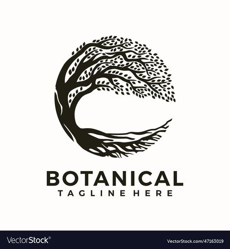 Circle Tree Logo, Tree Logos, Color Vector, Png Images, ? Logo, Color