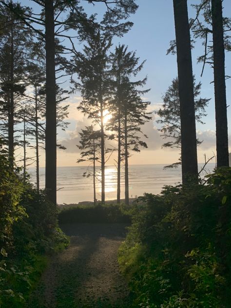 Washington Coast Aesthetic, Washington Beach Aesthetic, Washington State Aesthetic, Oregon Coast Aesthetic, Oregon Nature Aesthetic, Oregon Beach Aesthetic, Washington State Beaches, Oregon Beach House, Oregon Ocean