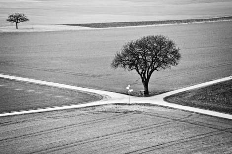 The SilverPages: How to Get Through the Crossroads Cross Road, Cross Roads, The Crossroads, Rural Area, Life Path, Landscape Trees, Winter Landscape, Image Hd, Free Photos