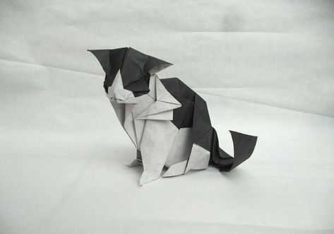 25 Purr-fect Origami Cats, Fur Real, I'm not Kitten... Origami Cat Instructions, Cat Origami, Cat Money, Tutorial Origami, Origami Ball, Origami Bookmark, Origami Dragon, Cute Origami, Origami For Beginners