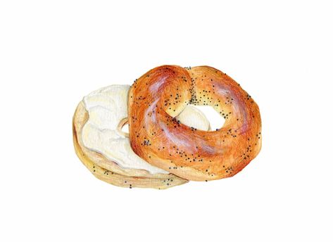 Bagel and Cream Cheese Illustration | Food illustrations, Dessert illustration, Illustration food Bagel Art, Bagel And Cream Cheese, Donut Mix, Blueberry Bagel, You're The Worst, Glazed Doughnuts, Bagel Cream Cheese, Cheese Food, Food Sketch