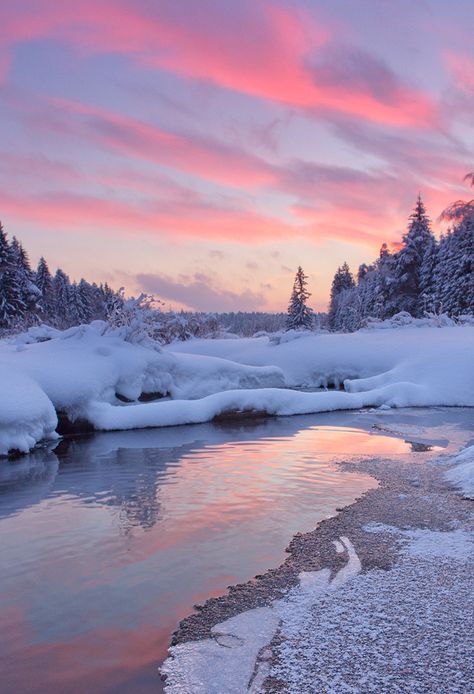 Winter Sky, Frozen Lake, Winter Scenery, Winter Beauty, Snow Scenes, Winter Wonder, Beautiful View, Winter Colors, Winter Photography