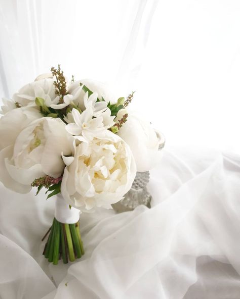 White Peony Bouquet Wedding, Oahu Elopement, White Peonies Bouquet, White Wedding Decorations, Bridal Bouquet Peonies, Peony Bouquet Wedding, Bridal Bouquet Flowers, Peony Wedding, Bride Flowers