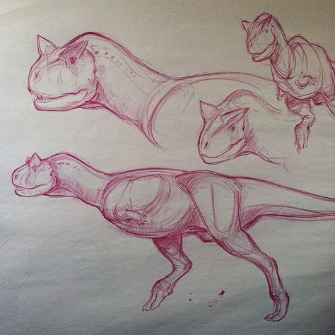 Carnotaurus Drawing, Carnotaurus Art, Dinosaur Carnotaurus, Dino Drawing, Dinosaur Sketch, Dinosaur Drawing, Dragon Sketch, Jurassic World Dinosaurs, Ancient Animals