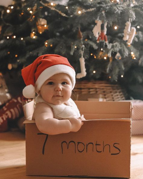 25+ *Ridiculously Cute* Baby's First Christmas Photo Ideas - 2023 First Christmas Photo Ideas, Christmas Baby Photoshoot, Baby Photo Shoot Ideas, Creative Picture Ideas, Christmas Photo Ideas, Christmas Baby Pictures, Baby Photo Shoot, Baby Christmas Photos, First Christmas Photos