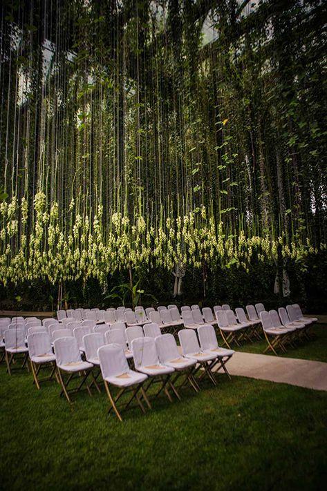 Wedding Ceremony Chairs, Modern Wedding Ceremony, Rustic Wedding Decorations, Flowers Hanging, Wedding Ceremony Ideas, Ceremony Chairs, Wedding Canopy, Beautiful Outdoor Wedding, Wedding Ceremony Flowers