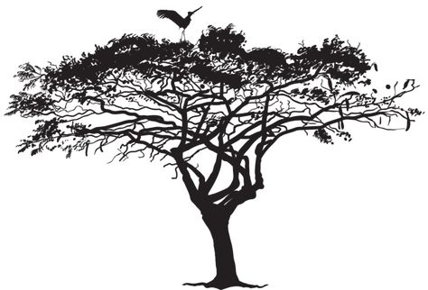 Tree Tattoo Drawings, African Tree, Siluete Umane, Acacia Tree, Silhouette Images, Vinyl Decor, Bird Silhouette, Silhouette Png, Tree Wall Decal