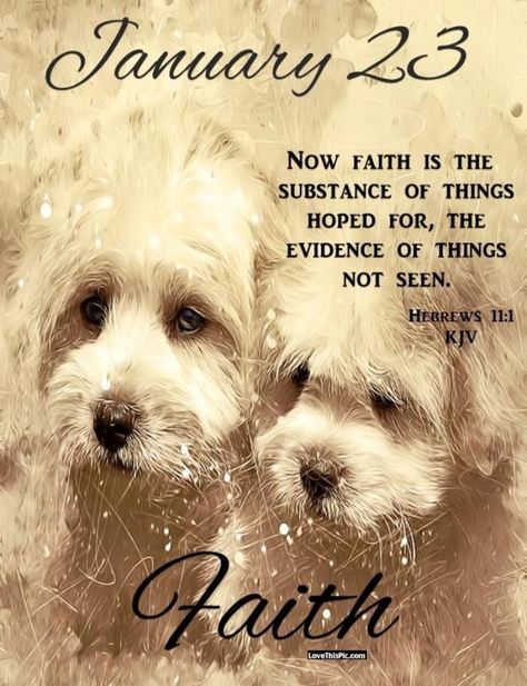 January 23 days faith puppies good morning january daily bible verse January 23 Blessings, December Scriptures, Words Of Faith, January Quotes, Faith Is The Substance, Mom Prayers, Todays Verse, Daily Blessings, Precious Animals